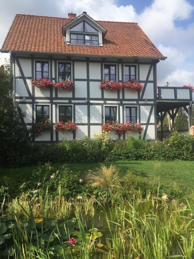 Schoene Gemuetliche Ferienwohnung Mit Kamin I Im Harz Darlingerode Exterior photo